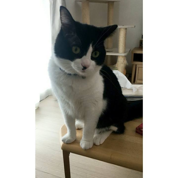 Fd380968 f928 4f1b 8512 e1436dbc409b 1530710414538