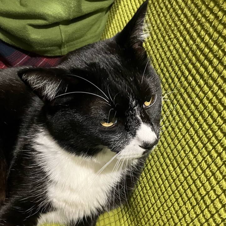 Fd38bbb5 0f46 46c2 9fc6 690c7c5ef8e2 1741057058476