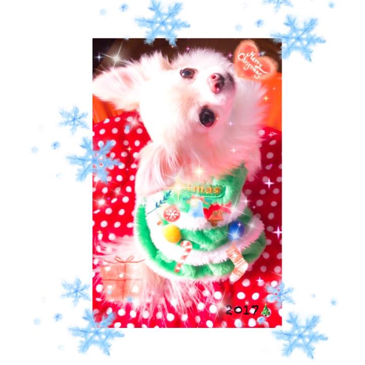 Fd38d1fc 12bd 4089 93c0 969d5c556b0f 1514120505644