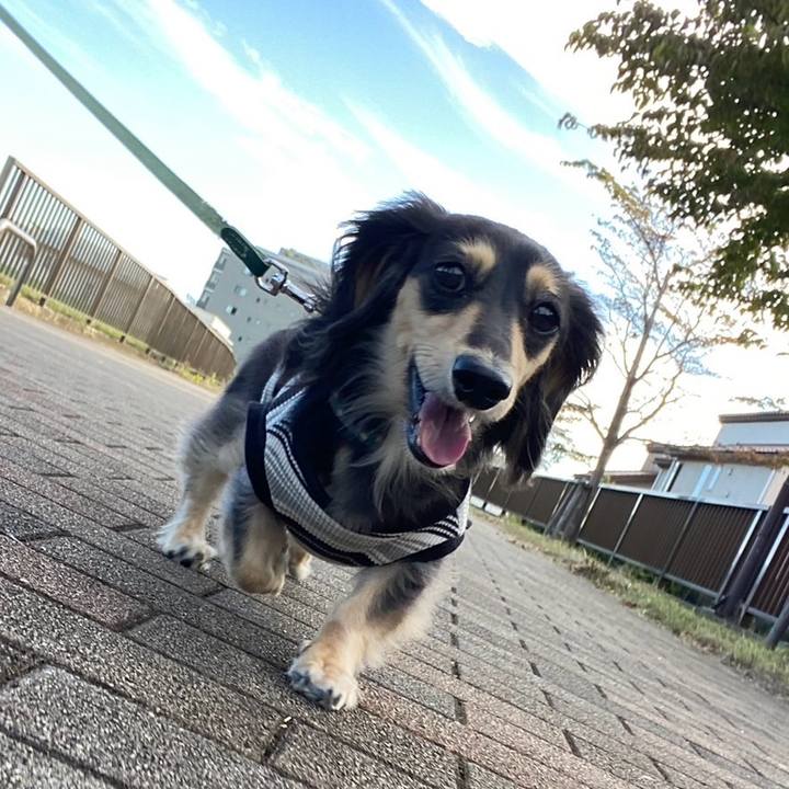 Fd38ded7 55d7 4eab ac3b 8962dd73b865 1758846146661