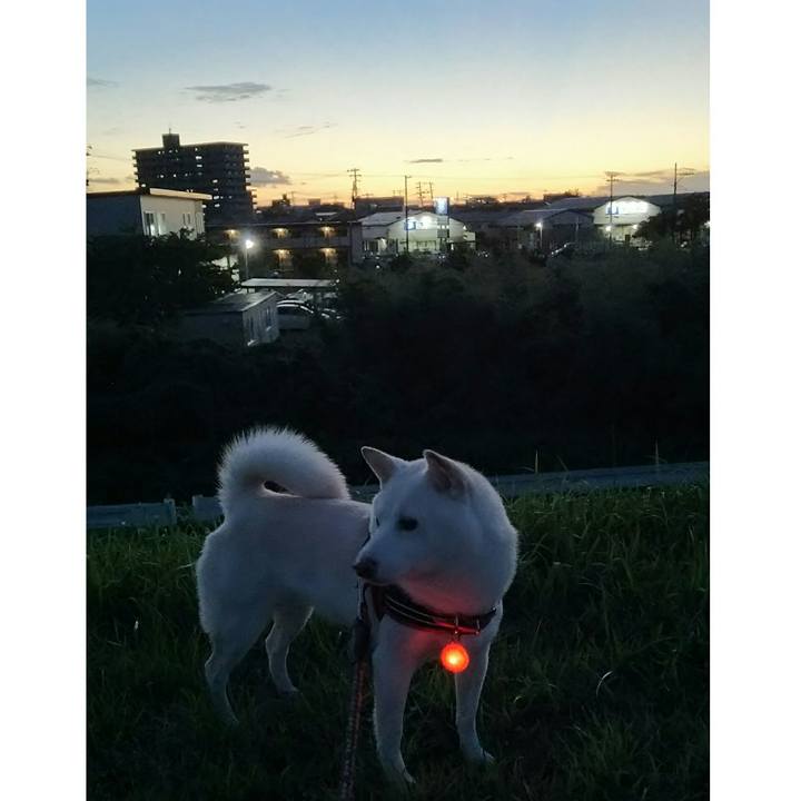 Fd38ecd9 2141 4b13 9437 11e3d119bbb8 1537265327215