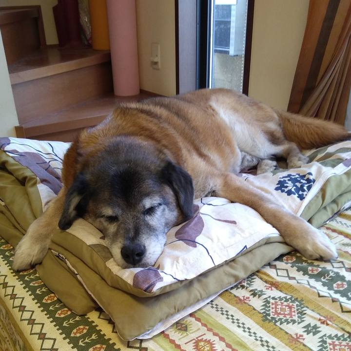 Fd38f327 e184 494e 8fe6 01a47227b5ae 1558304308412