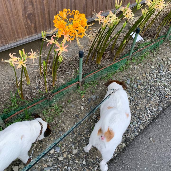 Fd3902ce 9120 4f5d 9b03 15f14b8f1db8 1631835573409