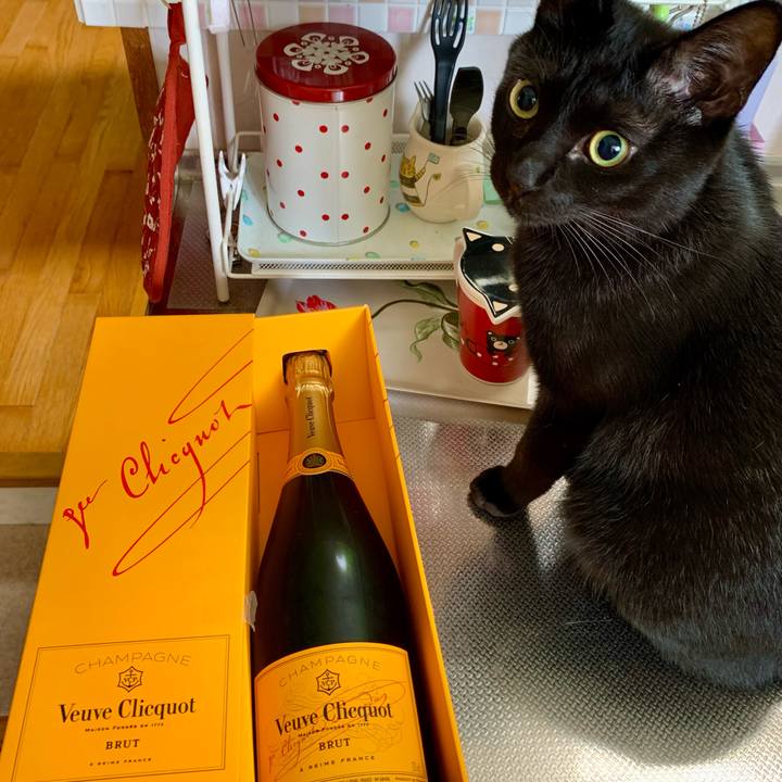 Fd392076 2f1b 4b94 8586 d727e7c81f84 1659431924334