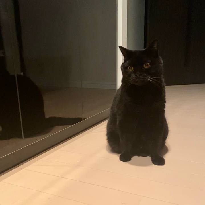 Fd393f62 bb8d 4398 92e2 af079b91ffdf 1757512097983