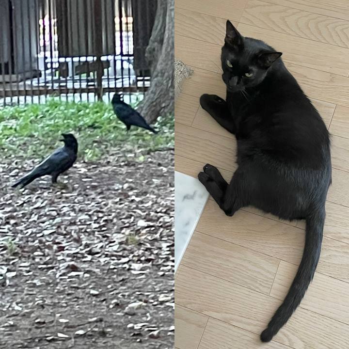 Fd39401e a376 474d 8915 881438af56f4 1659448936618