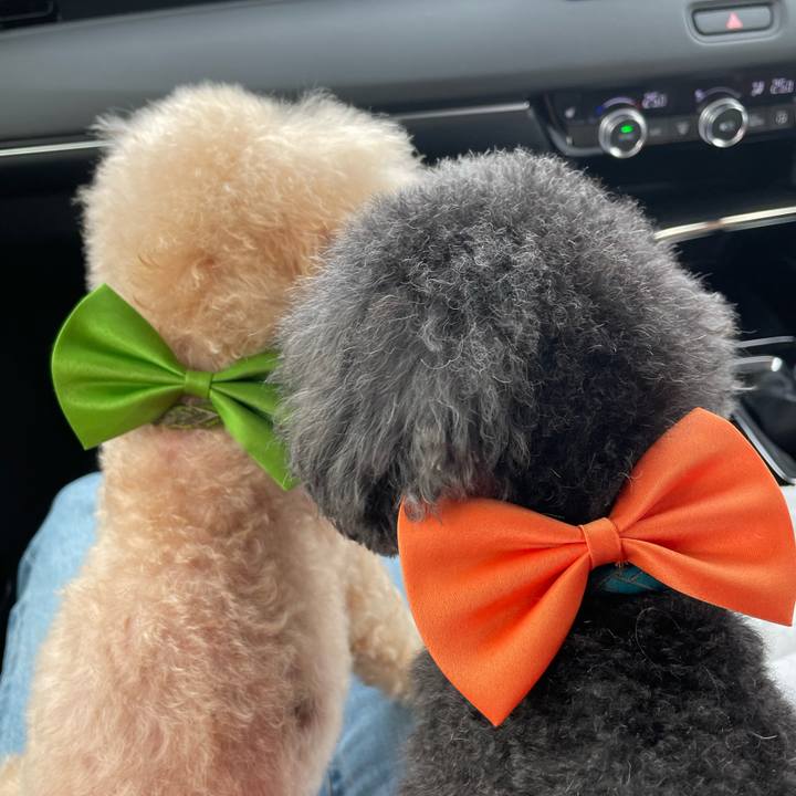 Fd39465c 36ad 43da bef2 0e376c3f7953 1652521955648