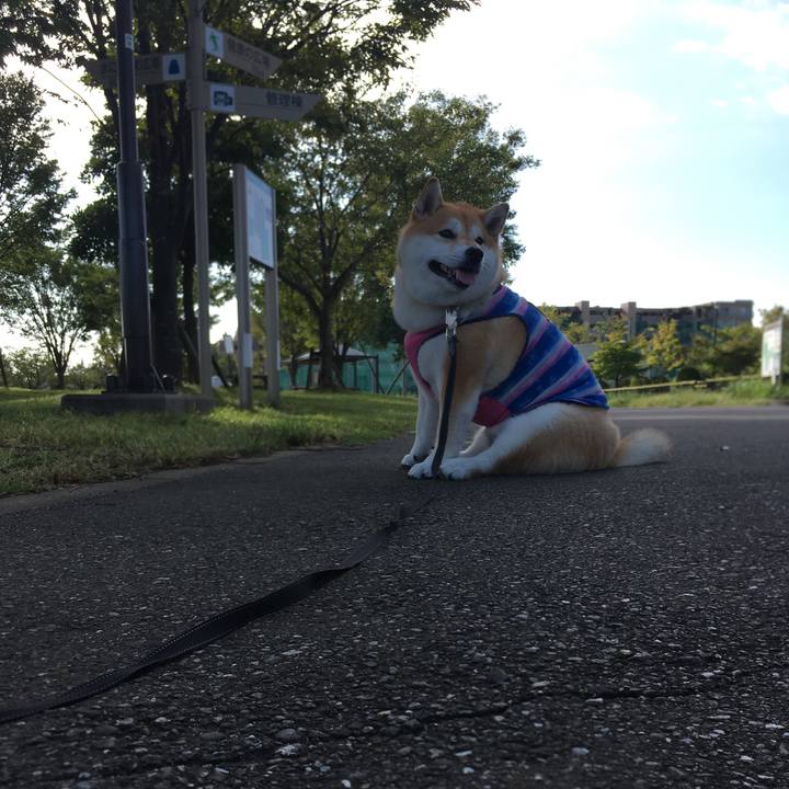 Fd3958e7 5365 430b 9d70 205621b7ec50 1569370786376