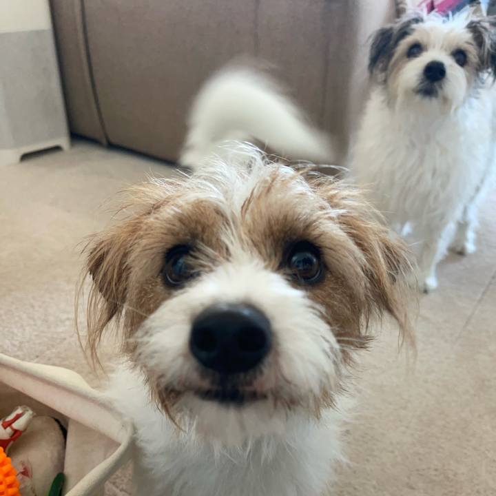 Fd395b5f 24e2 4edb 84d5 3a1787457490 1766893669089