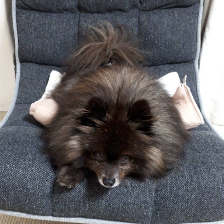 Fd397c0f 0fb4 4f15 87b9 71b967ca2b27 1519931997769