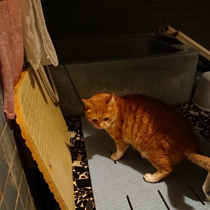 Fd39fb88 1e45 4abf a080 ec97b69f6eea 1608454940678