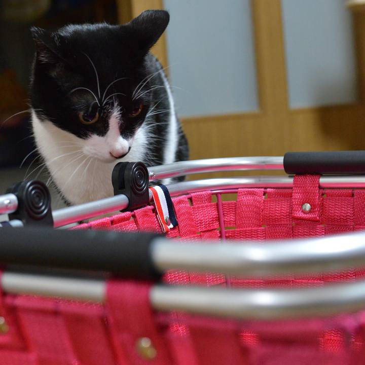 Fd3a26fe 155f 4dc8 b6c3 dfb1bc8ecb0d 1540905413202