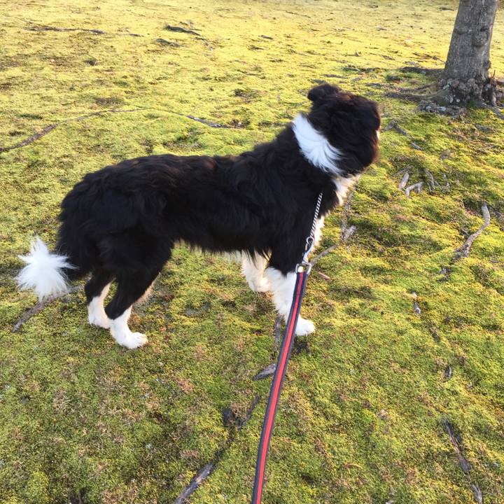 Fd3a4921 bc0b 402a 8a31 b4835b69cc73 1580599760485