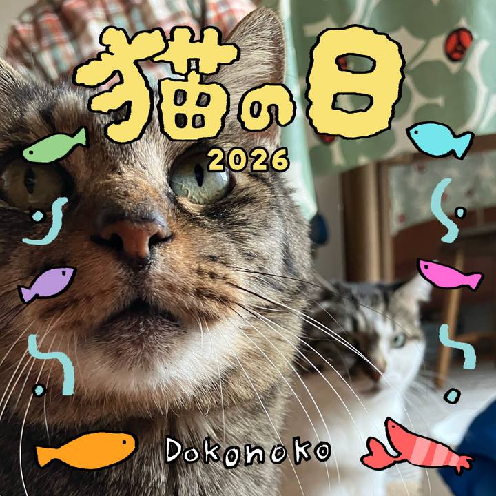 Fd3a7138 c769 4f2b bc78 e4d424195e5b 1771703198242