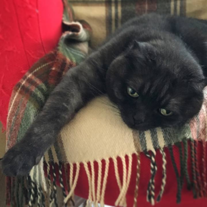 Fd3a8c32 f7b3 4b25 95f3 b3fe991dbd62 1528081526031