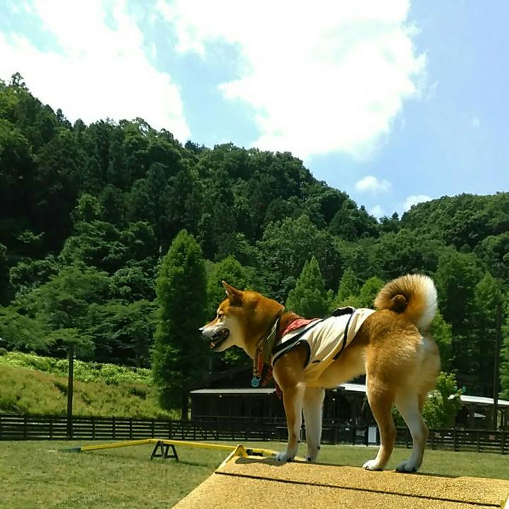 Fd3b01ee 1eb9 4fd0 a824 8d4647da92a4 1527916129394