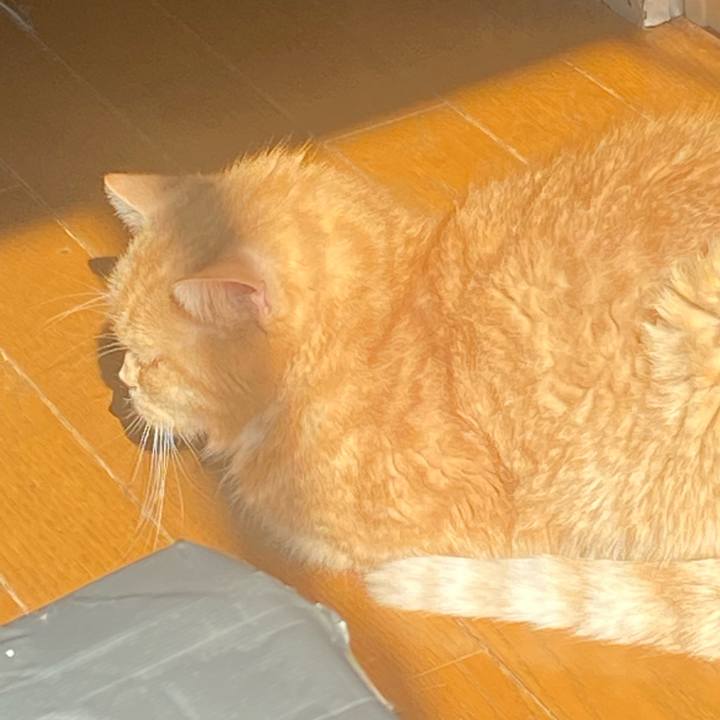 Fd3b5e43 bb14 4617 aac7 5736d05d13fe 1674963358185