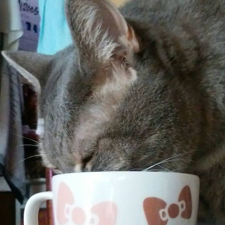 Fd3b6174 a6a5 45f0 83ff 73407220b7b6 1536374285095