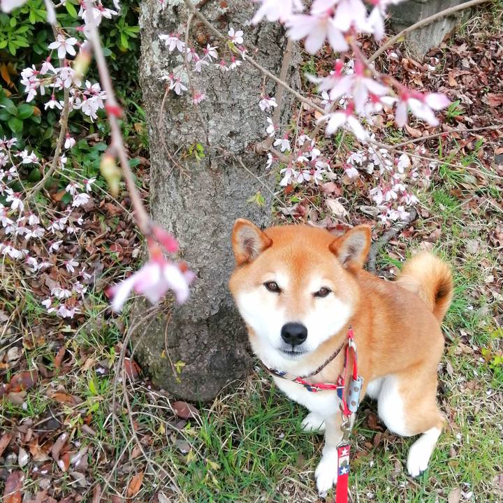 Fd3b8552 199d 4e78 a632 93f3126872d3 1680143354395