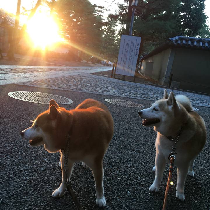 Fd3b88a5 9e4d 43d9 b048 b2f29e6f7894 1531948938077