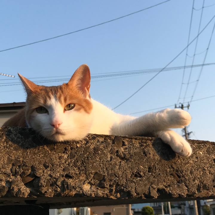 Fd3b9140 8395 4cc8 93dc 9e71af27de3c 1528020628145