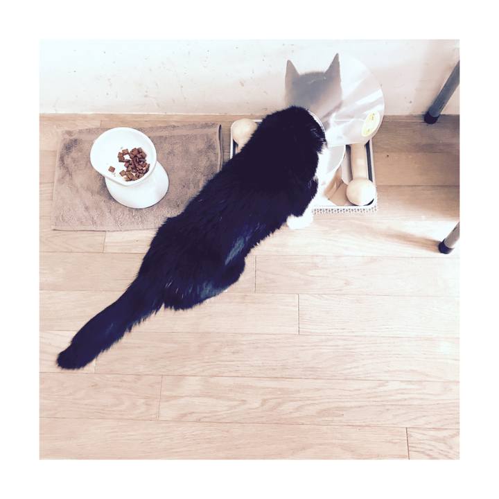 Fd3bbc24 428b 48f4 86bd 484f7d4726fa 1582343658850