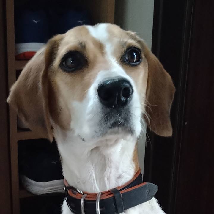 Fd3beca9 a009 4bbc 906e c13c66530a6f 1631974076889