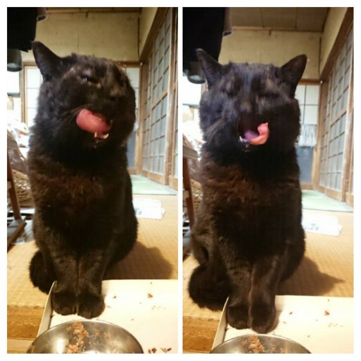 Fd3c18a5 aa8a 4aab a2c0 ce18f0b3043d 1617099704166