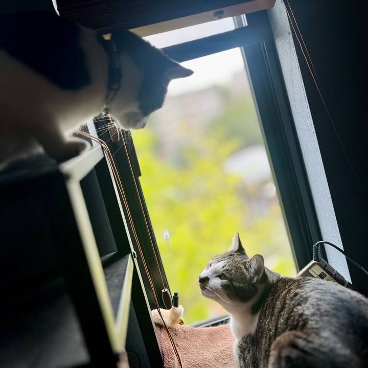 Fd3c2712 c082 4700 959e e02312f6d5f9 1761383659399