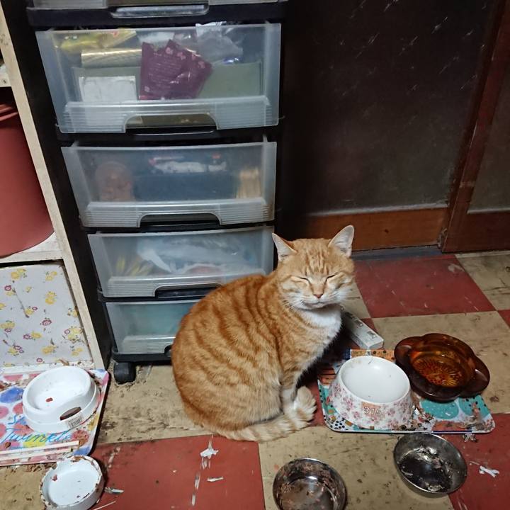 Fd3c3eaa dc26 4735 85a9 901c3a841327 1581195200831