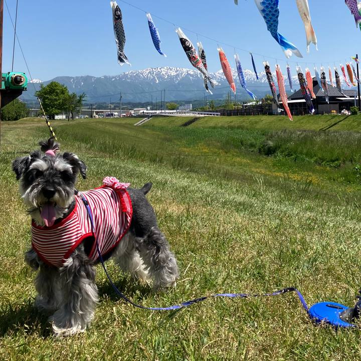 Fd3c43ad 35e8 42e5 93e6 27083c63fe5c 1714880679689