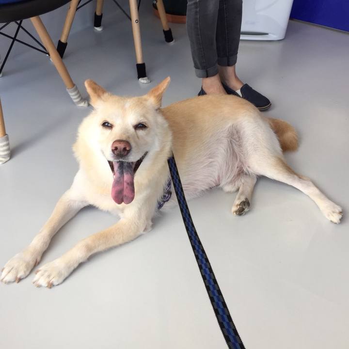 Fd3c6103 fe7f 4680 a0c9 cd17fb5cb502 1530691206094