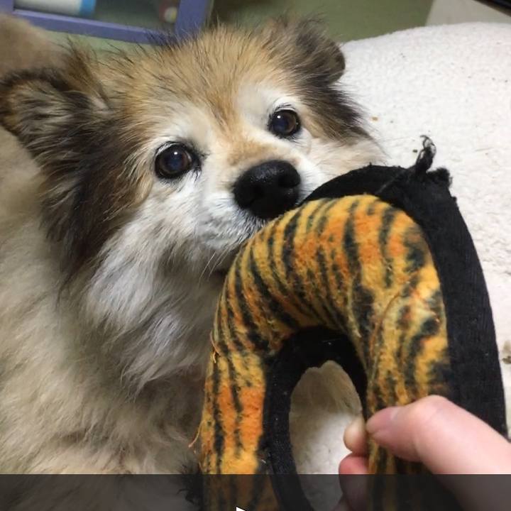 Fd3c842a 0e0e 4443 a8e9 e53100495697 1552950152312