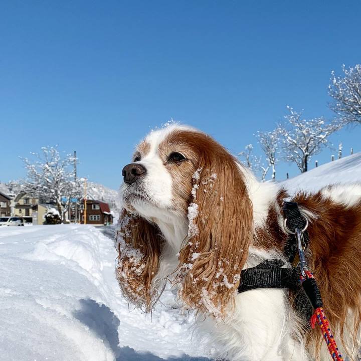 Fd3c8572 a52f 4160 832a cb82ff4a80bc 1581041194083