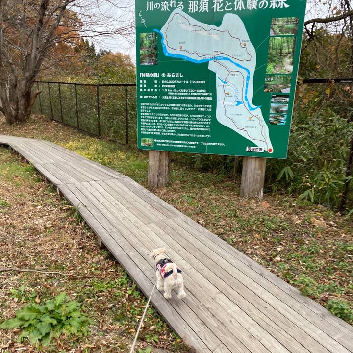 Fd3c9912 a412 43a6 bb0e 00c346950378 1574412072392