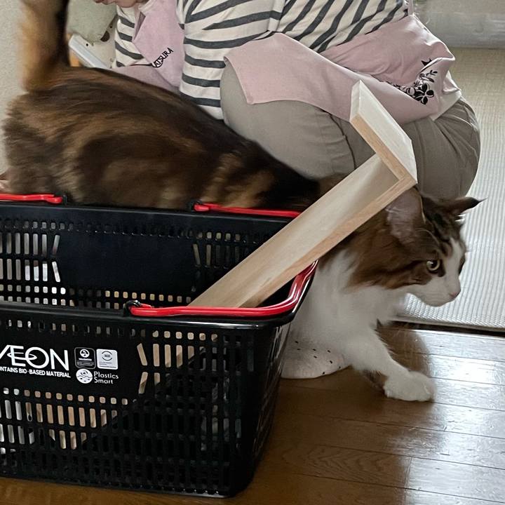 Fd3ca329 a037 4c07 86b8 5b43df3a29b4 1666504550745