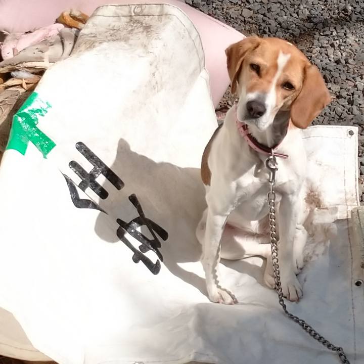 Fd3cd415 e73d 4017 a324 b576433eed89 1583134459300