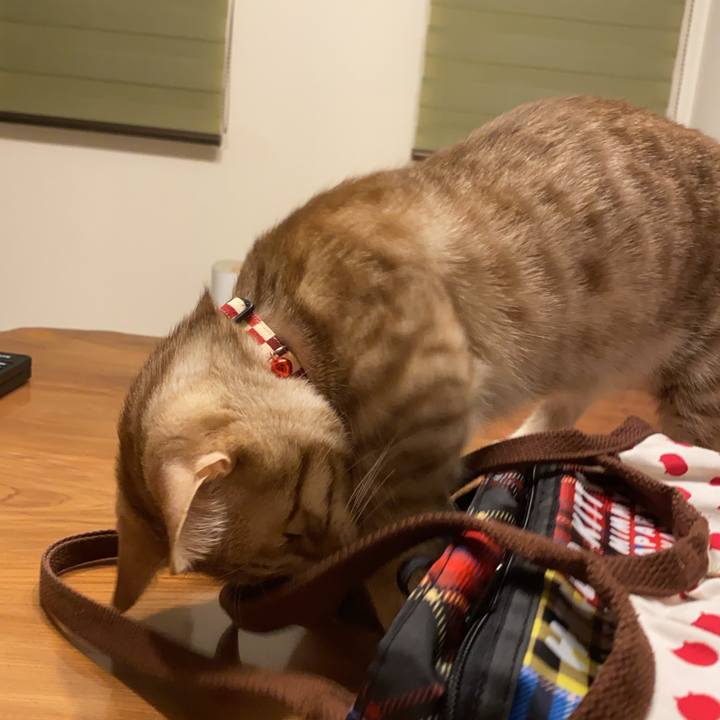 Fd3cd5e5 a49c 46d6 9513 c6166526834e 1611315903281