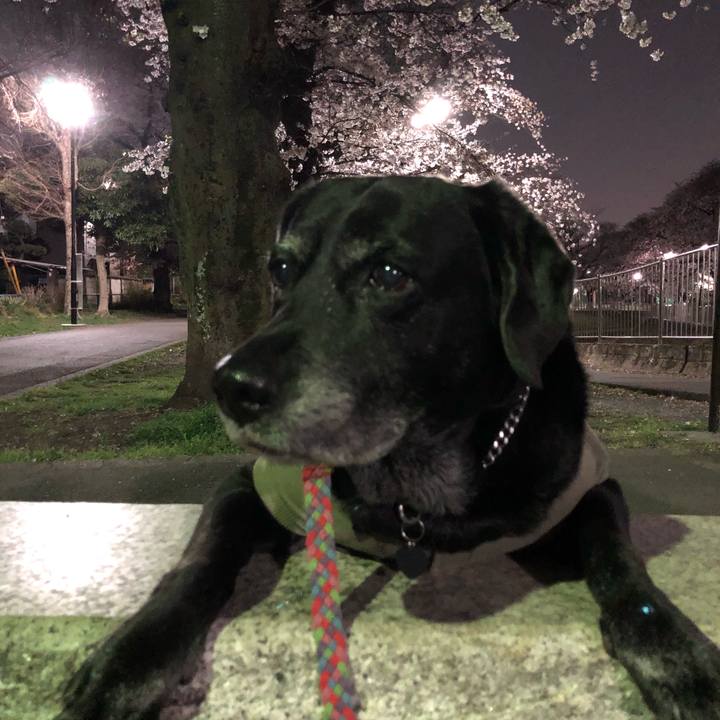 Fd3cfbc3 9564 4df7 b931 11e11408a94f 1616904356500