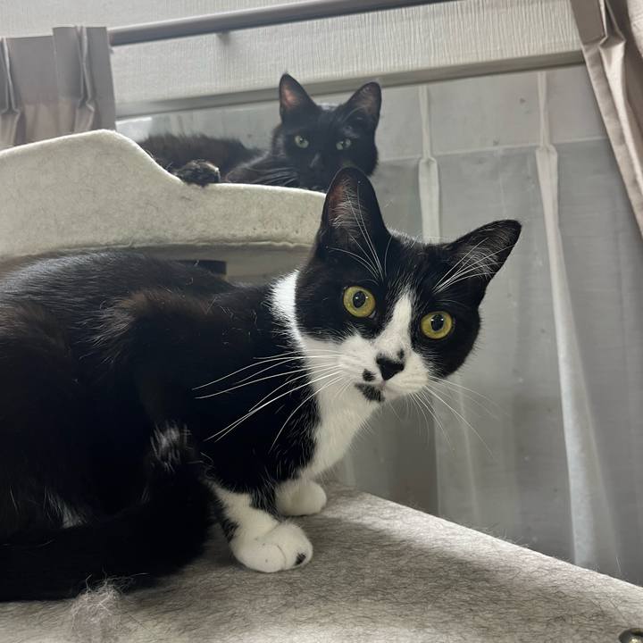 Fd3cffad 1ec9 4810 b83e e802ef1161c8 1714567237444