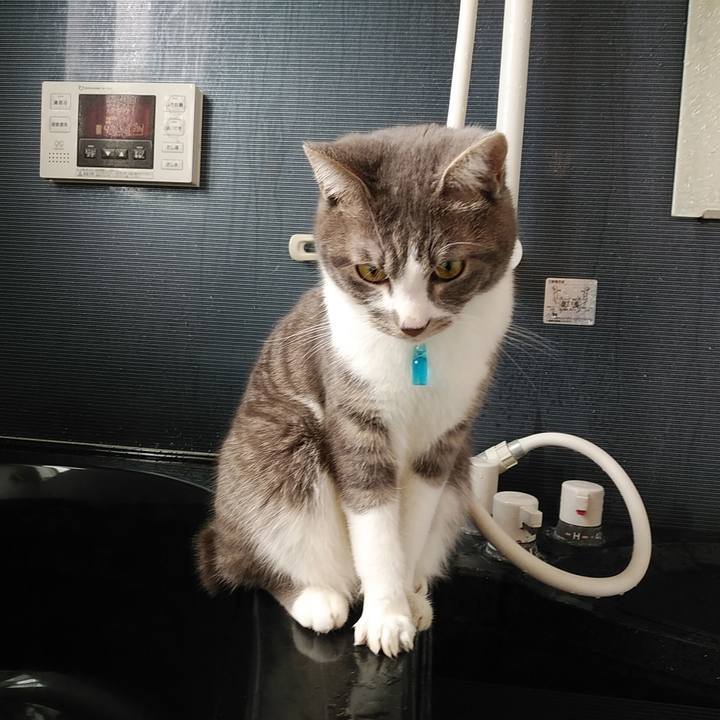 Fd3d0085 a8aa 450a 87cf a3d75be53916 1583538578374