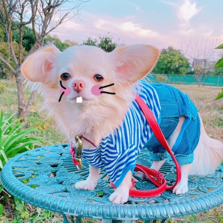 Fd3d05a5 34f4 4d42 bb86 43d8f1afb320 1636006443567