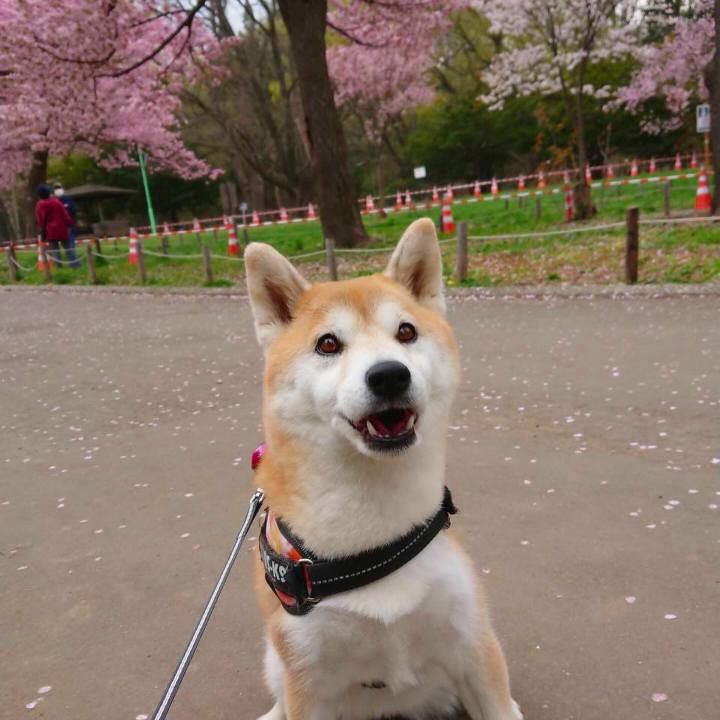 Fd3d0c3d c8c8 4649 af16 2931c77ae0d6 1588566687971