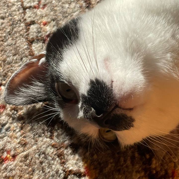 Fd3d1cc4 1637 42bd bbf3 137d4272cc27 1768536888713