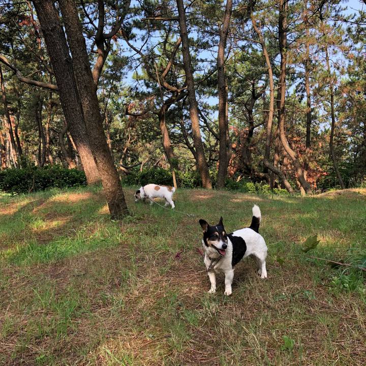 Fd3d61b9 f41b 474d a583 d3ed822e3de3 1531960752691