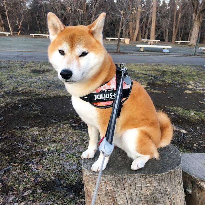 Fd3da168 7a0b 44fd 80dc 43ece6cf963a 1553677861907