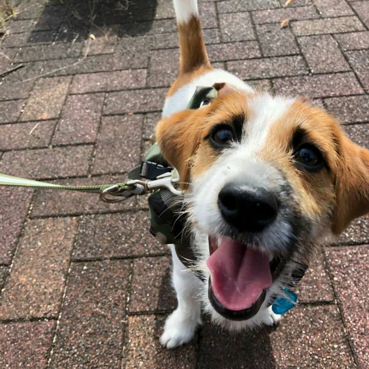 Fd3dac9f 76dc 49a2 a378 0a1ab642c87d 1539697602255