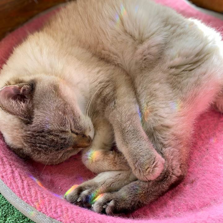 Fd3dc1c9 825e 40ed 8b73 51deaf7093b2 1604117306321