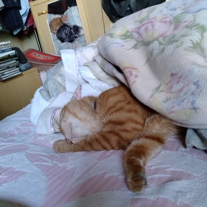 Fd3dc626 2ad6 4a9a 9649 de8b96789d5e 1695508355264