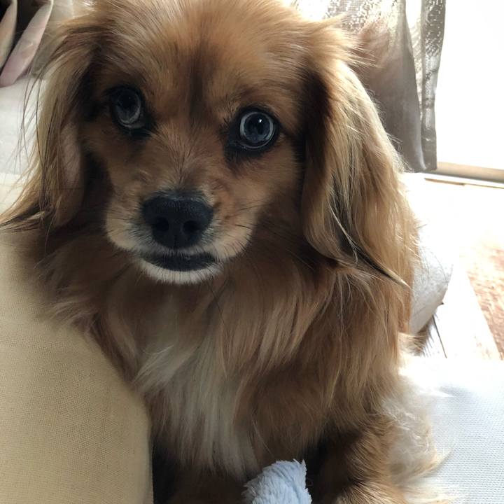 Fd3deb03 2c1f 43e2 9d9e abf318f9a79c 1556585813893